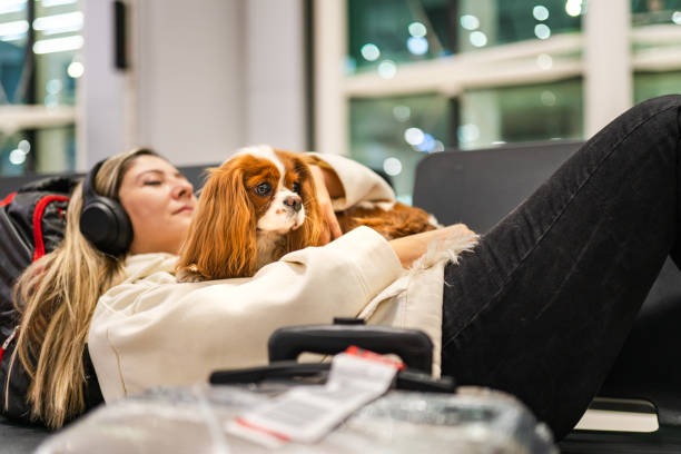 The Smart Way to Apply for an ESA Letter Online Today