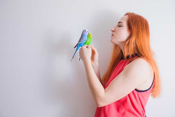 Perches